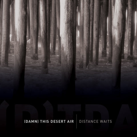 (Damn) This Desert Air - Distance Waits CD