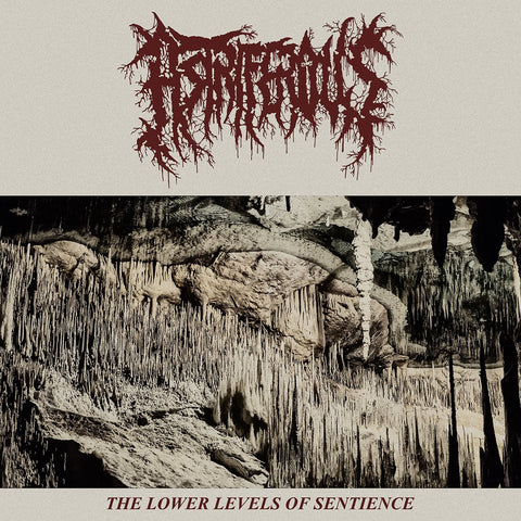 Astriferous - The Lower Levels Of Sentience CD