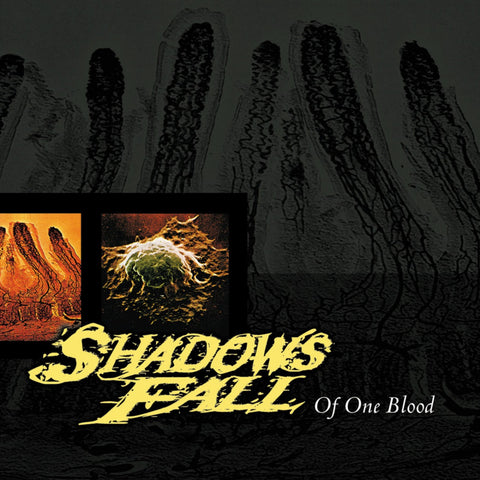 Shadows Fall - Of One Blood VINYL 12"